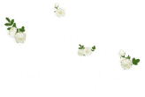 plaisir-logo